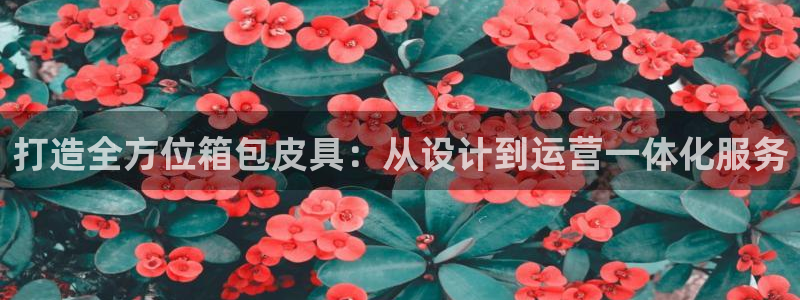 必一体育app官方下载入口