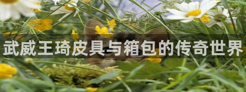 必一体育合法吗