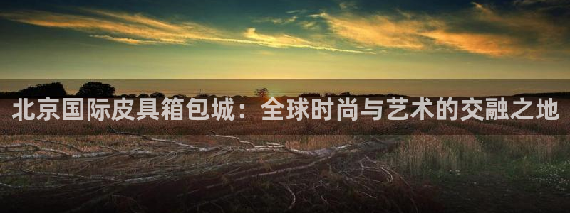 必一体育秀给网