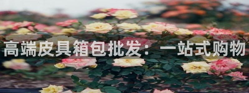 必一体育APP