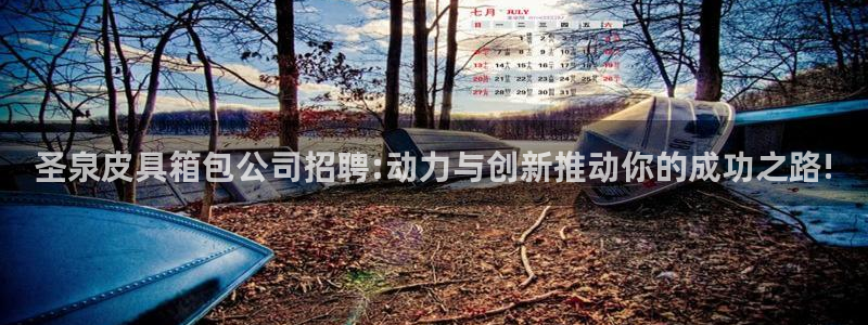 必一体育sport