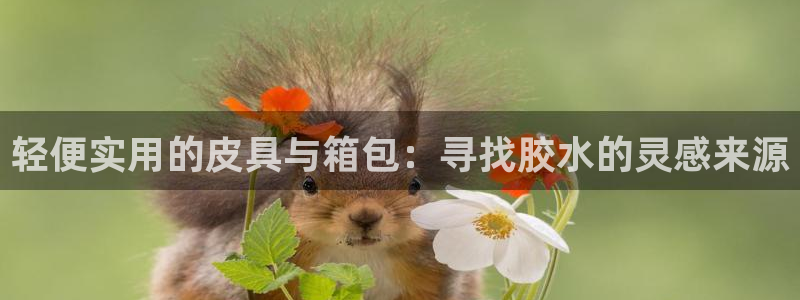 必一体育运动下载