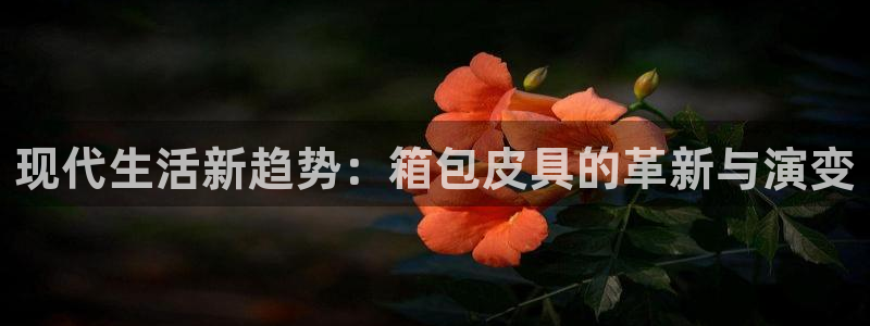 必一运动官网入口
