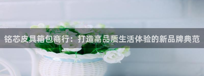 必一体育在线玩