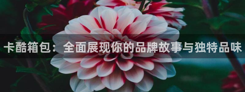 必一体育app官方网站
