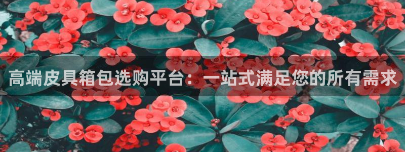 必一体育下载移动版
