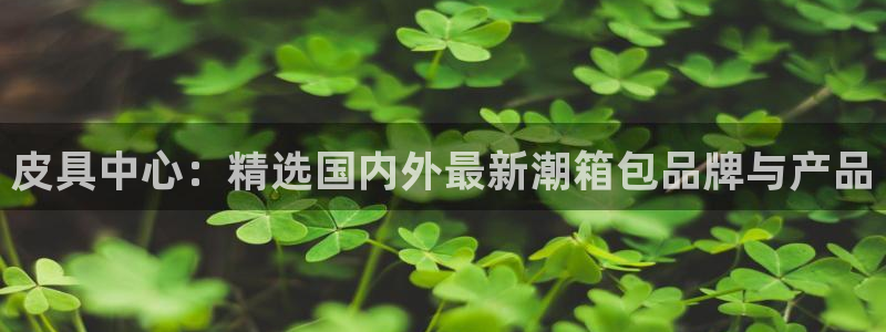 必一体育官网网站