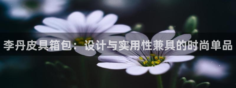必一体育sport官方网站