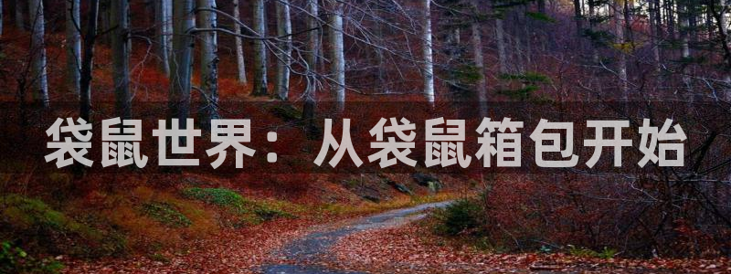 必一体育官网入口