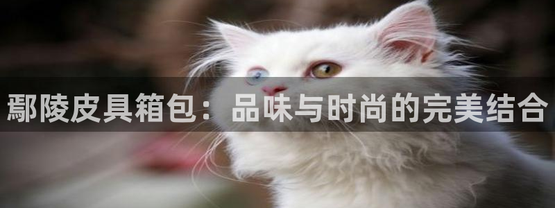 必一体育网页登陆