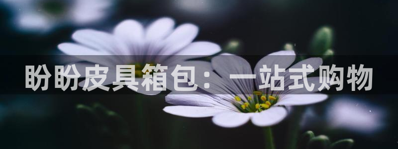 必一运动体育官网