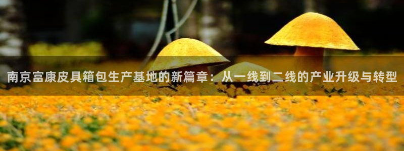 必一体育在线登录