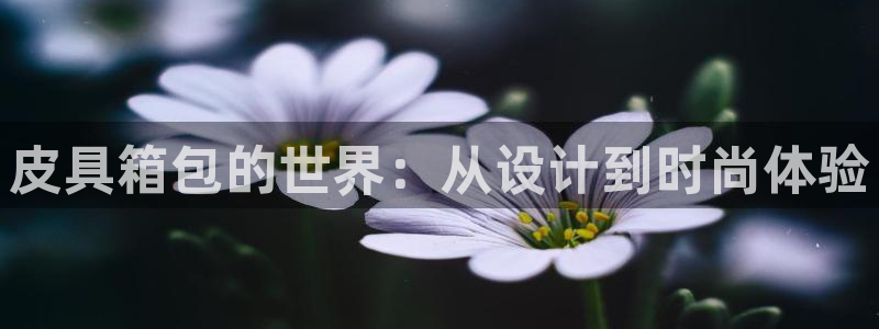 必一体育运动平台官网