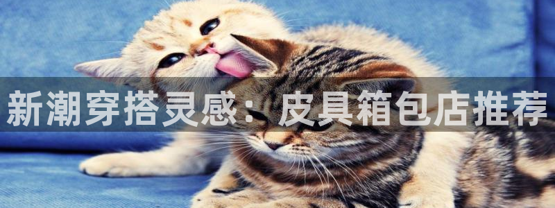 必一体育下载义
