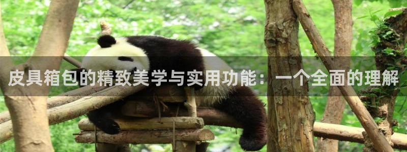 必一体育游戏特色