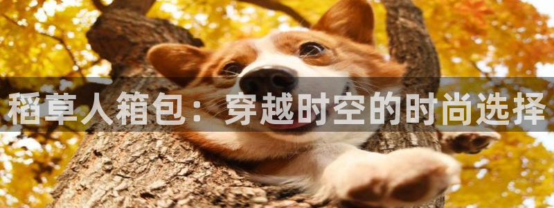 必一运动