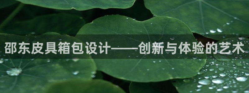必一体育网址