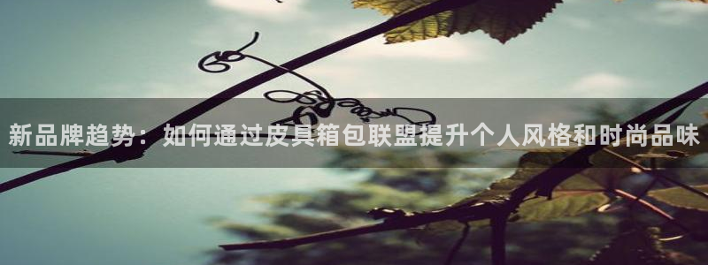 必一体育下载移动版