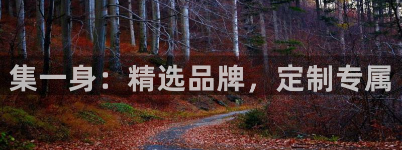 Bsport体育必一
