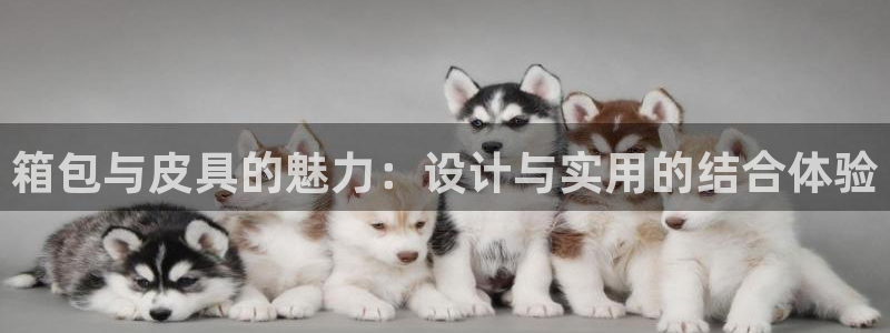 必一体育在线登录