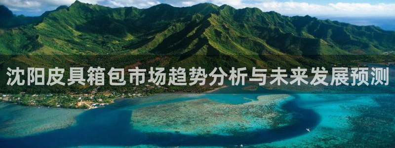 必一体育在哪下