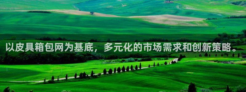 必一体育下载一样吗