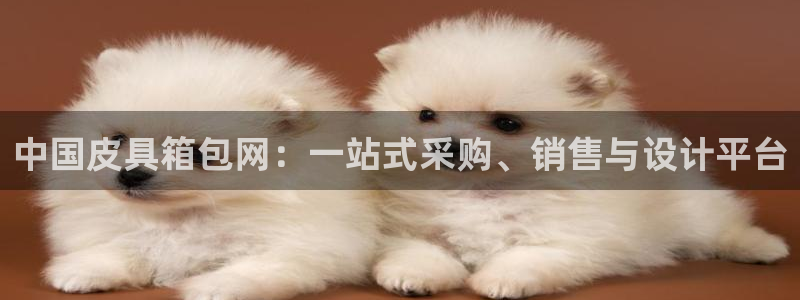 必一体育在线登录