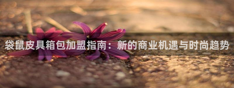 必一运动 b 体育素描版