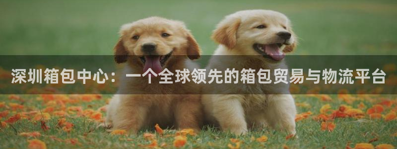 必一体育最新官网入口首页