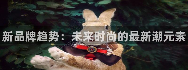 必一体育sport网页版