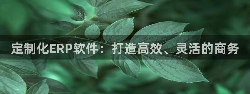 必一体育旧版