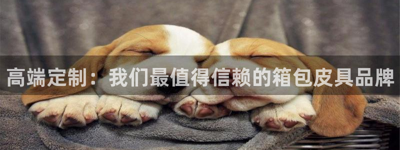 必一体育怎么下载
