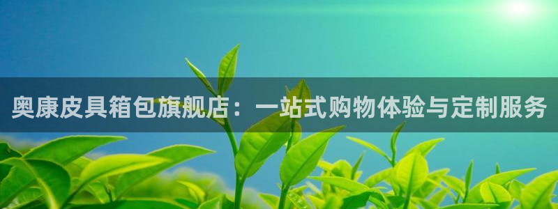 必一体育APP下载安装