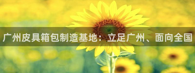 必一体育游戏特色