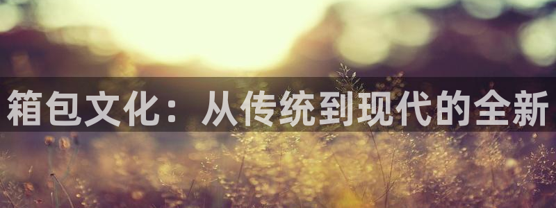 必一体育周公