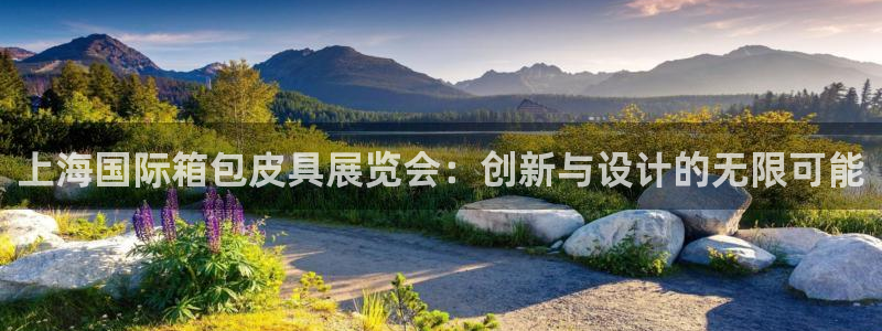 必一体育在哪下