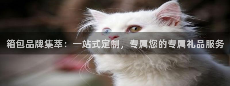 必一体育下载app下载