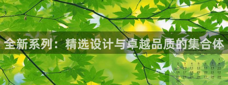 必一体育是哪里的台子