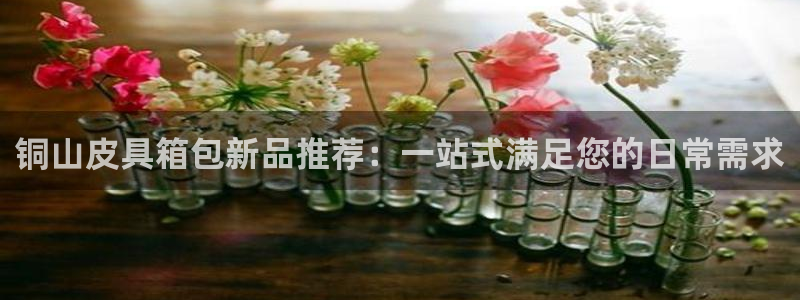 必一体育官方网站入口