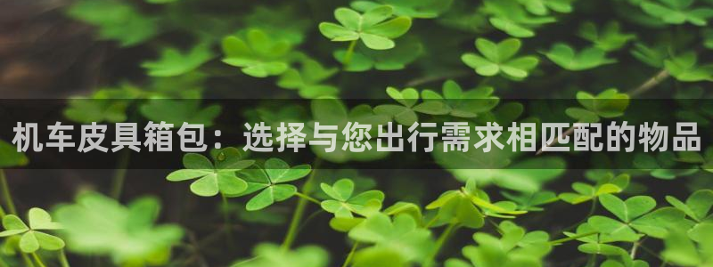 必一体育网页