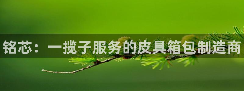 必一体育app官方网站