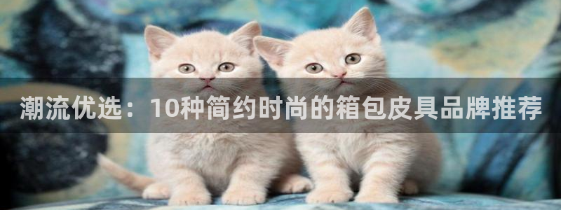 必一运动验证码