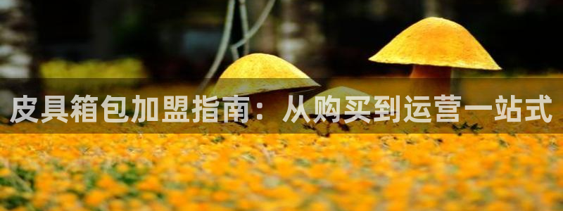 必一体育网页版登录