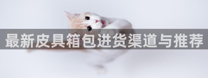 必一运动bsport体育app下载