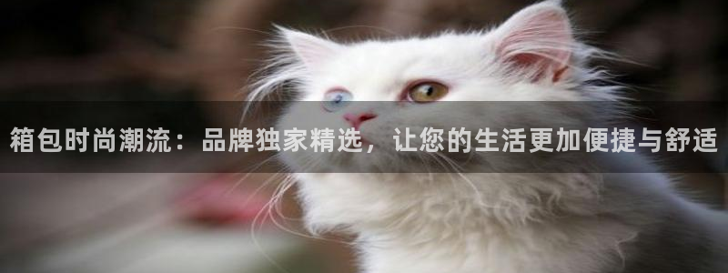 必一体育下载意思