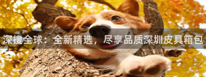 必一运动B-Sport官方网站入口