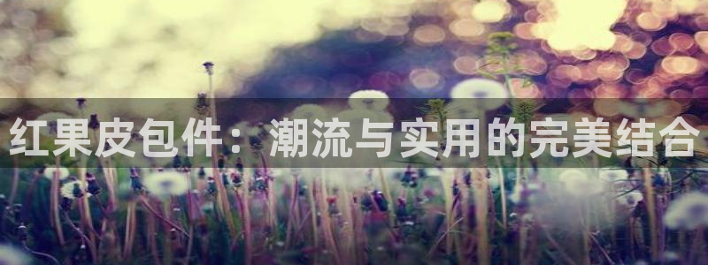 必一体育app下载最新版本