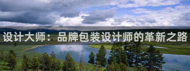 必一体育网页登录版官网