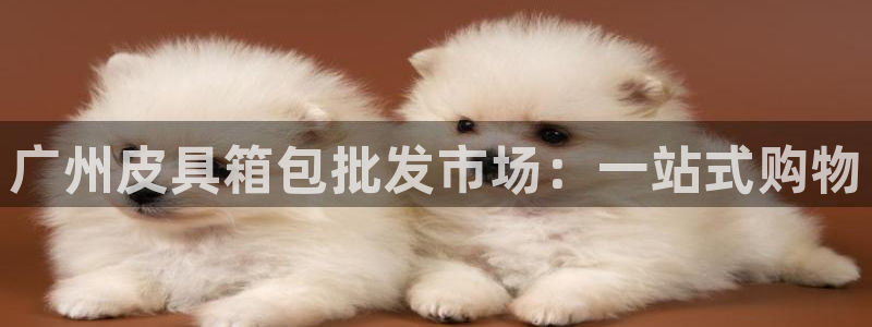 必一体育皮尔斯