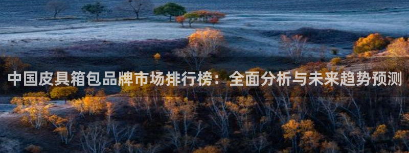 必一体育验证码